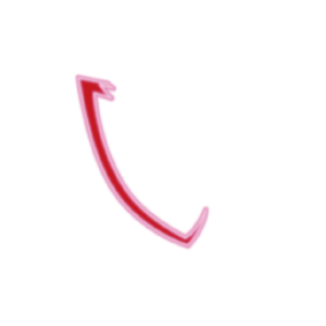 Digifast